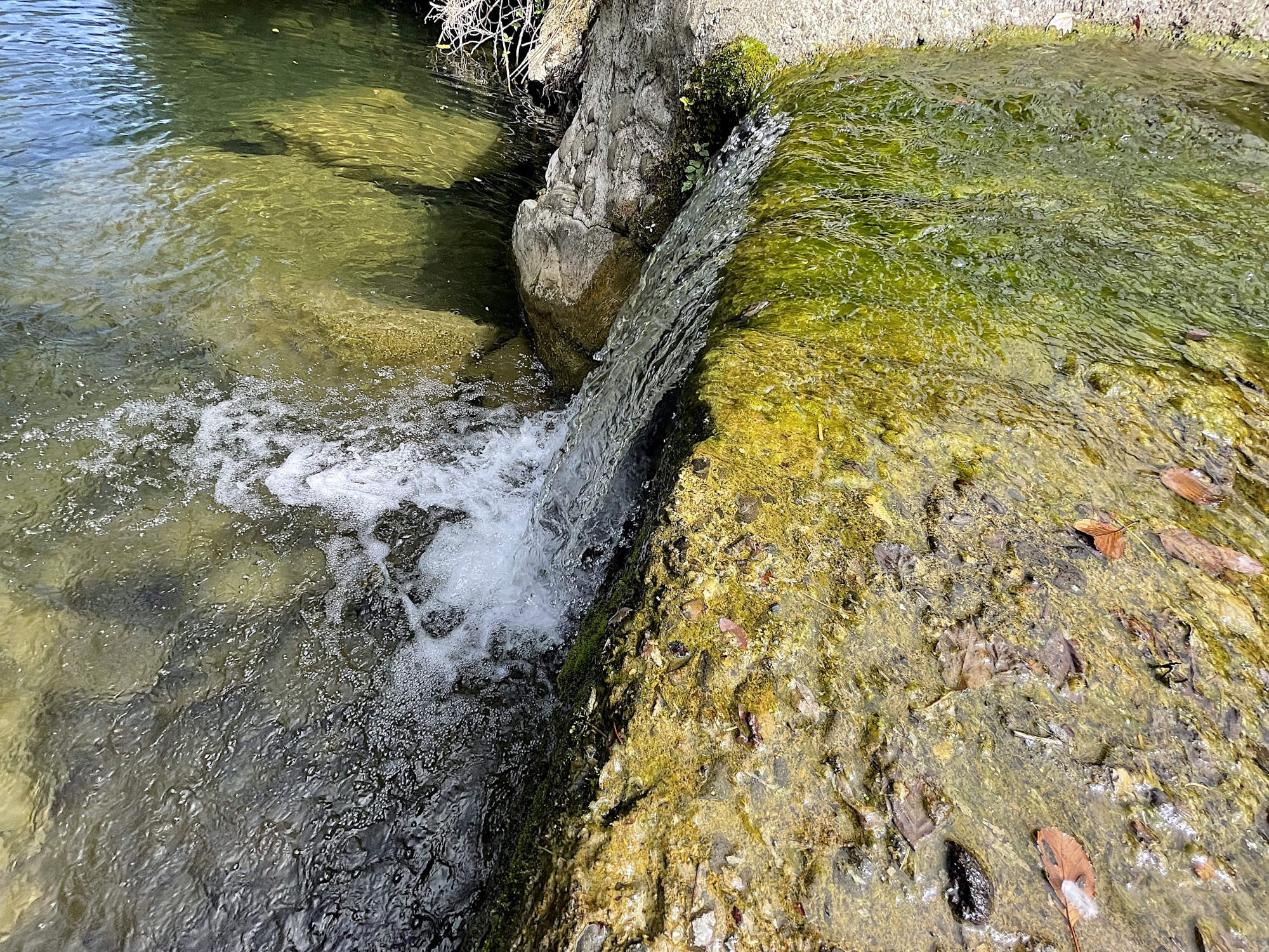 Macchinari e impianti per ecologia